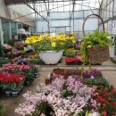 내곡동701 이미지