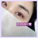 인아웃래쉬
