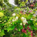 설국펜션 이미지