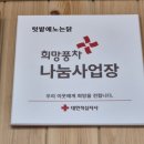 도계1리마을회관 | 강원도 삼척 미인폭포 부근 태백 맛집 텃밭에 노는 닭