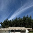 담담스테이 이미지