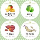 애플망고디자인 이미지