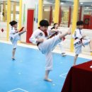 영웅백호 태권도장 이미지