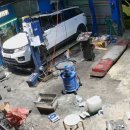 카데렐라 이미지