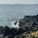 주상절리대 | 제주 대포해안 주상절리대 주차비 및 무료입장후기