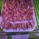 친구네정육식당 이미지