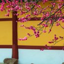 향교로 1 이미지