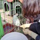 고양이 행복 쉼터 이미지