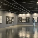 피노키오 마을, 트리하우스, 양떼목장, 뮤직빌리지.. 가평은 거대한 테마파크 이미지