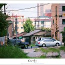 서울에서 들판을 지나는 철길을 거닐어 볼 수 있는 이색적인 여행지. 오류동 항동철길 마을 이미지