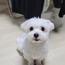 복실스토어