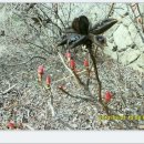 북지장사 - 1119 | 북지장사
