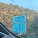 장수폭포카페베르데 이미지