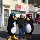 거제도국제펭귄수영축제 이미지