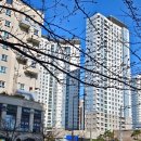 플로밋 이미지