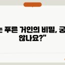 형성슈퍼 이미지