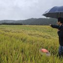 이삭 RPC 이미지