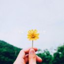 영어사랑