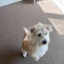 소영씨네집 이미지