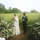 7월 18일 정기산행 정선 덕산기계곡 트레킹(물놀이) 이미지