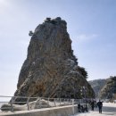 보람관광 | 울릉도 2박3일 비용 알차게 다녀온 부모님과 효도관광 후기