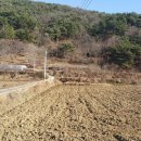 양지-3056 이미지