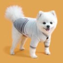 코코앤그레이