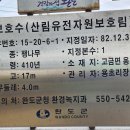 용초경로당 티스토리