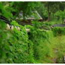 동춘당공원 이미지