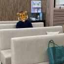 임신25-26주 / 임당검사수치, 공복시간, 검사시기, 검사방법, 검사가격 등 (송파고은빛산부인과의원)