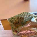 학수정데이케어센터 | [공지] 호주 간호사 근무 4주 차 후기 🇦🇺 :: 6일 연속 근무 / 호주 간호사 워라벨 박살 / 그냥 하기