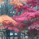 산본중앙공원 이미지
