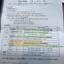 용하약국 | 난임일기 시험관 난자 채취 후 주사 복용약 프롤루텍스 주사 멍