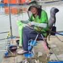 성호좌대 이미지