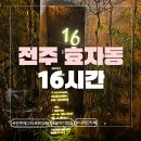 16 | [전주] 전주 에그타르트 맛집, 카페16시간 솔직후기(+내돈내산)