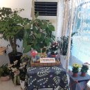 동두천호수부대찌개(의정부용현점) 이미지