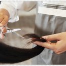 계절미용실 이미지