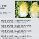 괴산마트영농조합법인 네이버블로그
