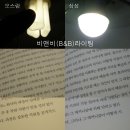 비앤비엘이디
