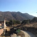 싸이드조경