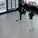 용인대 태권마루 태권도장 이미지