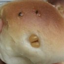 카페단비 이미지