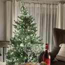 루디아의 작은집 이미지