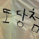 예스여행 네이버블로그