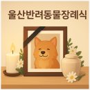 울산반려동물장례식, 마지막 인사를 준비하는 방법