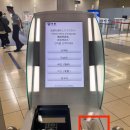 여행 1일차 :: 김포공항 후기 대한항공 기내 후지산뷰...자유의여신상 현지인 스시 맛집 스시고라운드...
