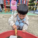 새장유어린이집 이미지