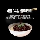 블랙데이 - 춘천시 춘천순환로 508 | 블랙데이