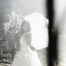 효민농장 이미지