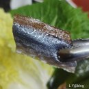 해풍 | 겨울 바다의 별미, 포항 구룡포 해풍 과메기 개봉 후기!